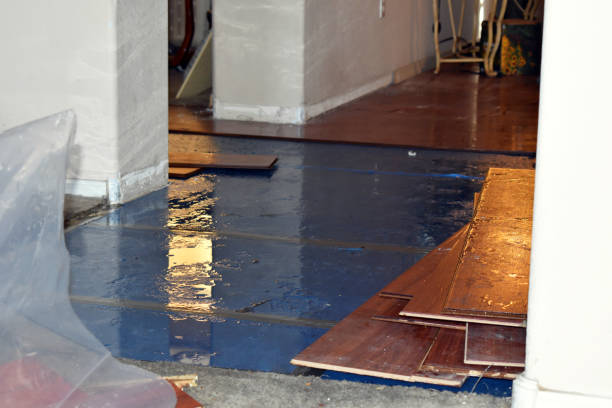 Professional Flood Damage Restoration technician working in Meyersville, TX